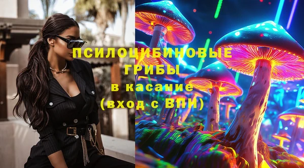 эйфоретик Алзамай