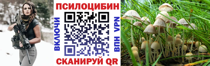 Галлюциногенные грибы Cubensis  Кумертау 