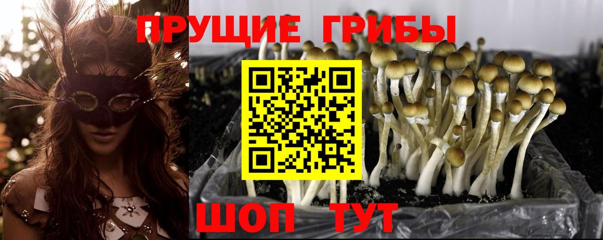 Галлюциногенные грибы MAGIC MUSHROOMS Кумертау