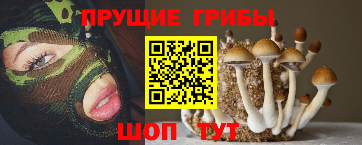 Галлюциногенные грибы Psilocybe  Вход с VPN  Кумертау 